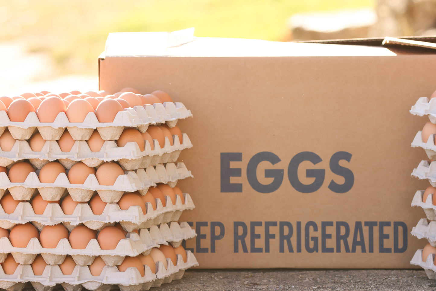 Eggs Per Case